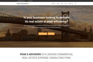 web design portfolio peak 5