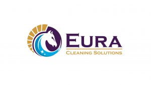 Logo Design - cleaning company