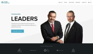 web design portfolio item consulting website