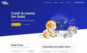 web design portfolio financial